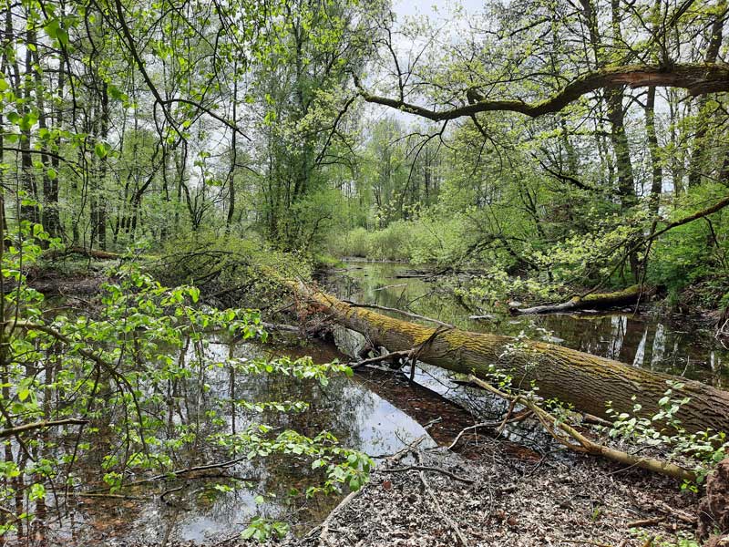 Doprovázená pouť přírodou pomáhá řešit tranzitorní krize